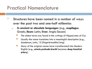 Two Fingerbreadths 01 Medical Terminology presentation .ppt