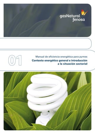 01
       Manual de eficiencia energética para pymes
     Contexto energético general e introducción
                        a la situación sectorial
 