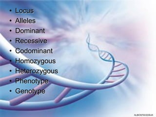 •   Locus
•   Alleles
•   Dominant
•   Recessive
•   Codominant
•   Homozygous
•   Heterozygous
•   Phenotype
•   Genotype


                   ALBIO9700/2006JK
 