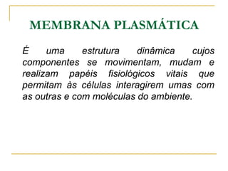 MEMBRANA PLASMÁTICA
É uma estrutura dinâmica cujos
componentes se movimentam, mudam e
realizam papéis fisiológicos vitais que
permitam às células interagirem umas com
as outras e com moléculas do ambiente.
 