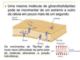  Uma mesma molécula de glicerofosfolipídeo
pode se movimentar de um extremo a outro
da célula em pouco mais de um segundo.
Os movimentos de “flip-flop” são
muito raros (dificuldade da parte polar
da molécula atravessar a porção
hidrofóbica).
 