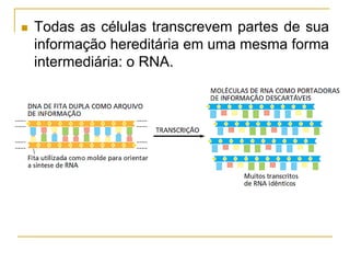  Todas as células transcrevem partes de sua
informação hereditária em uma mesma forma
intermediária: o RNA.
 