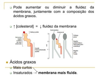 Pode aumentar ou diminuir a fluidez da
membrana, juntamente com a composição dos
ácidos graxos.
 ↑ [colesterol] = ↓ fluidez da membrana
 Ácidos graxos
 Mais curtos
 Insaturados membrana mais fluida.
 