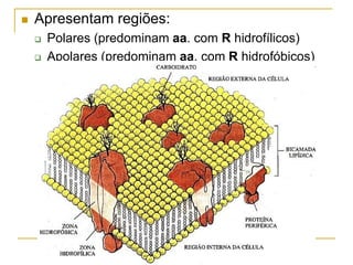  Apresentam regiões:
 Polares (predominam aa. com R hidrofílicos)
 Apolares (predominam aa. com R hidrofóbicos)
 