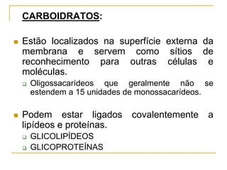 CARBOIDRATOS:
 Estão localizados na superfície externa da
membrana e servem como sítios de
reconhecimento para outras células e
moléculas.
 Oligossacarídeos que geralmente não se
estendem a 15 unidades de monossacarídeos.
 Podem estar ligados covalentemente a
lipídeos e proteínas.
 GLICOLIPÍDEOS
 GLICOPROTEÍNAS
 