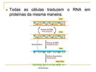  Todas as células traduzem o RNA em
proteínas da mesma maneira.
 