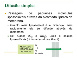 Difusão simples
 Passagem de pequenas moléculas
lipossolúveis através da bicamada lipídica da
membrana.
 Quanto mais lipossolúvel é a molécula, mais
rapidamente ela se difunde através da
membrana.
 Ex: Gases (O2 e CO2), uréia e solutos
lipossolúveis (hidrocarbonetos e álcool).
 