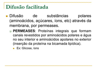 Difusão facilitada
 Difusão de substâncias polares
(aminoácidos, açúcares, íons, etc) através da
membrana, por permeases.
 PERMEASES: Proteínas integrais que formam
canais revestidos por aminoácidos polares e água
no seu interior e aminoácidos apolares no exterior
(inserção da proteína na bicamada lipídica).
 Ex: Glicose, íons
 