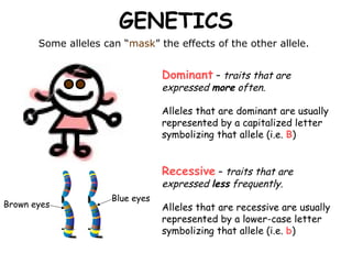 GENETICS
       Some alleles can “mask” the effects of the other allele.


                                  Dominant – traits that are
                                  expressed more often.

                                  Alleles that are dominant are usually
                                  represented by a capitalized letter
                                  symbolizing that allele (i.e. B)


                                  Recessive – traits that are
                                  expressed less frequently.
                      Blue eyes
Brown eyes                        Alleles that are recessive are usually
                                  represented by a lower-case letter
                                  symbolizing that allele (i.e. b)
 