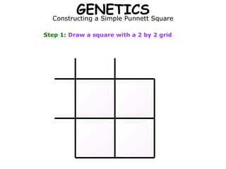 GENETICS Square
  Constructing a Simple Punnett

Step 1: Draw a square with a 2 by 2 grid
 