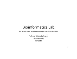 Bioinformatics Lab
MICROBIO 590B Bioinformatics Lab: Bacterial Genomics
Professor Kristen DeAngelis
UMass Amherst
Fall 2022
1
 