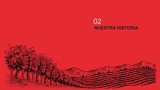 02
NUESTRA HISTORIA
 