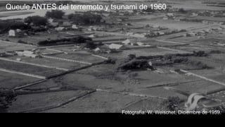 Queule ANTES del terremoto y tsunami de 1960
Fotografía: W. Weischet, Diciembre de 1959.
 
