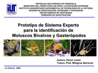 Prototipo de Sistema Experto  para la identificación de  Moluscos Bivalvos y Gasterópodos Autora: Karen Lewis Tutora: Prof. Milagros Barreras 