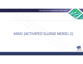 Asm1 Modello 01 Modelo ASM1 CICO.pdf