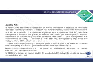 Asm1 Modello 01 Modelo ASM1 CICO.pdf