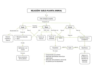 RELACIÓN SUELO-PLANTA-ANIMAL
Ciclo biológico complejo
Suelo
• Elementos minerales
• Agua
Planta
Deficientes o en
exceso
Bajo crecimiento
de las plantas
Fuente de
recursos
Materia
orgánica y
mineral
Tejidos
Fuente de
nutrientes
Animal
Procesos vitales y
productivos
Perjudicial
• Compactación por pisoteo
• Alteración del balance natural por
selectividad
• Alteración del crecimiento natural de
las plantas por las deyecciones
Beneficioso
Mejorar la
fertilidad al
devolver los
elementos
minerales
Suelo
Es un
Compuesto por
Provee de
A la
Si están
Provocan
Actúa como
Para el
Abasteciéndolo de Para formar sus Para el Para sus
Puede ser
Por causar Por
para el para el
Constituye
estrato de
Agua
 