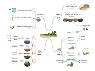Qué es
Reemplazo de especies
vegetales cada vez más
complejas
Fases
2
1 3
Constituid
o por
Inicial
Media
Maduración
Clímax
SUCESIÓN VEGETAL
1
2
3
4
Organismos
de estructura
sencilla
Líquenes
Musgos
Algas
Asociación
vegetal muy
desarrollada
y estable
Especies
herbáceas
Especies de
matorrales
Importancia
Aumenta la biodiversidad
Da inicio a las cadenas tróficas
Clímax
Proceso de cambio
hacia un estado más
avanzado
Mediante el
En el
Transcurso del
tiempo
Tratando de
alcanzar el
Aumenta la resistencia a los
cambios
1
2
3
Constituid
o por
Constituid
o por
Constituid
o por
Tipos
S. Primaria
S. Secundaria
S. Regresiva o
desclímax
Xeroserie
Hidroserie
Una perturbación
natural o artificial
Se origina a partir de
Una zona desnuda
1
2
Puede ser
Se origina a partir de
Inundaciones
Volcanes
Deforestación
Contaminación
Como Como
Que
provoca
una
 
