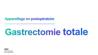 2023
Sebiha AYDOGAN
Léa DI LIBERATORE
 