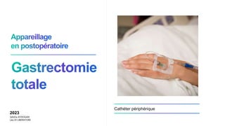 Cathéter périphérique
2023
Sebiha AYDOGAN
Léa DI LIBERATORE
 