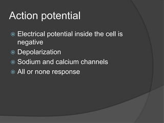 Action potential
 Electrical potential inside the cell is
negative
 Depolarization
 Sodium and calcium channels
 All or none response
 