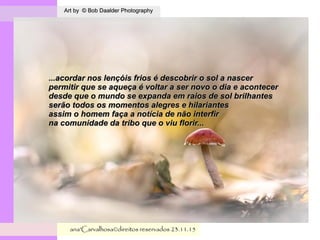 .
Art by © Bob Daalder PhotographyArt by © Bob Daalder Photography
ana'Carvalhosa©direitos reservadosana'Carvalhosa©direitos reservados 23.11.1523.11.15
...acordar nos lençóis frios é descobrir o sol a nascer...acordar nos lençóis frios é descobrir o sol a nascer
permitir que se aqueça é voltar a ser novo o dia e acontecerpermitir que se aqueça é voltar a ser novo o dia e acontecer
desde que o mundo se expanda em raios de sol brilhantesdesde que o mundo se expanda em raios de sol brilhantes
serão todos os momentos alegres e hilariantesserão todos os momentos alegres e hilariantes
assim o homem faça a notícia de não interfirassim o homem faça a notícia de não interfir
na comunidade da tribo que o viu florir...na comunidade da tribo que o viu florir...
 