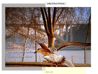 ,
13.11.1513.11.15
artBy © Nuno PimentaartBy © Nuno Pimenta
meu olhinho pequeninomeu olhinho pequenino
espreita por te verespreita por te ver
no teu jeito ladinono teu jeito ladino
foca o bom viverfoca o bom viver
,,,,,,
 