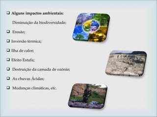 Alguns impactos ambientais:    Diminuição da biodiversidade;  Erosão;    Inversão térmica;    Ilha de calor;    Efeito Estufa;  Destruição da camada de ozónio;  As chuvas Ácidas;  Mudanças climáticas, etc.  