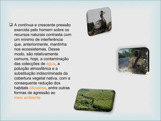 A contínua e crescente pressão exercida pelo homem sobre os recursos naturais contrasta com um mínimo de interferência que, anteriormente, mantinha nos ecossistemas. Desse modo, são relativamente comuns, hoje, a contaminação das colecções de  água , a poluição atmosférica e a substituição indiscriminada da cobertura vegetal nativa, com a consequente redução dos habitats  silvestres , entre outras formas de agressão ao  meio ambiente   