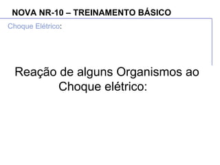 NOVA NR-10 – TREINAMENTO BÁSICO
Choque Elétrico:
Reação de alguns Organismos ao
Choque elétrico:
 