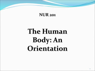 The Human
Body: An
Orientation
NUR 201
1
 