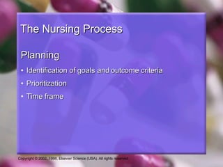 NurseReview.Org - Nursing Process