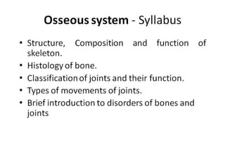 osseous system
