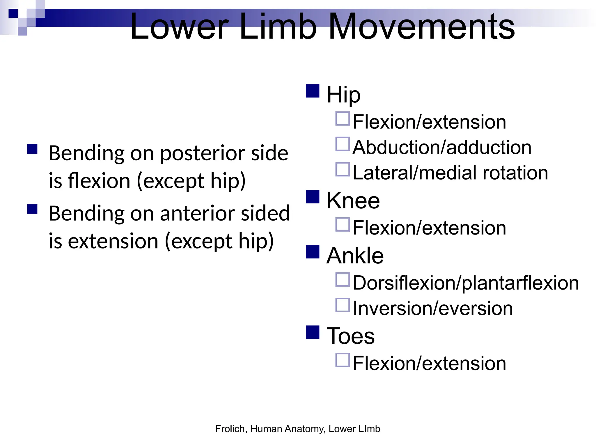 Frolich, Human Anatomy, Lower LImb
Lower Limb Movements
 Hip
Flexion/extension
Abduction/adduction
Lateral/medial rotation
 Knee
Flexion/extension
 Ankle
Dorsiflexion/plantarflexion
Inversion/eversion
 Toes
Flexion/extension
 Bending on posterior side
is flexion (except hip)
 Bending on anterior sided
is extension (except hip)
 