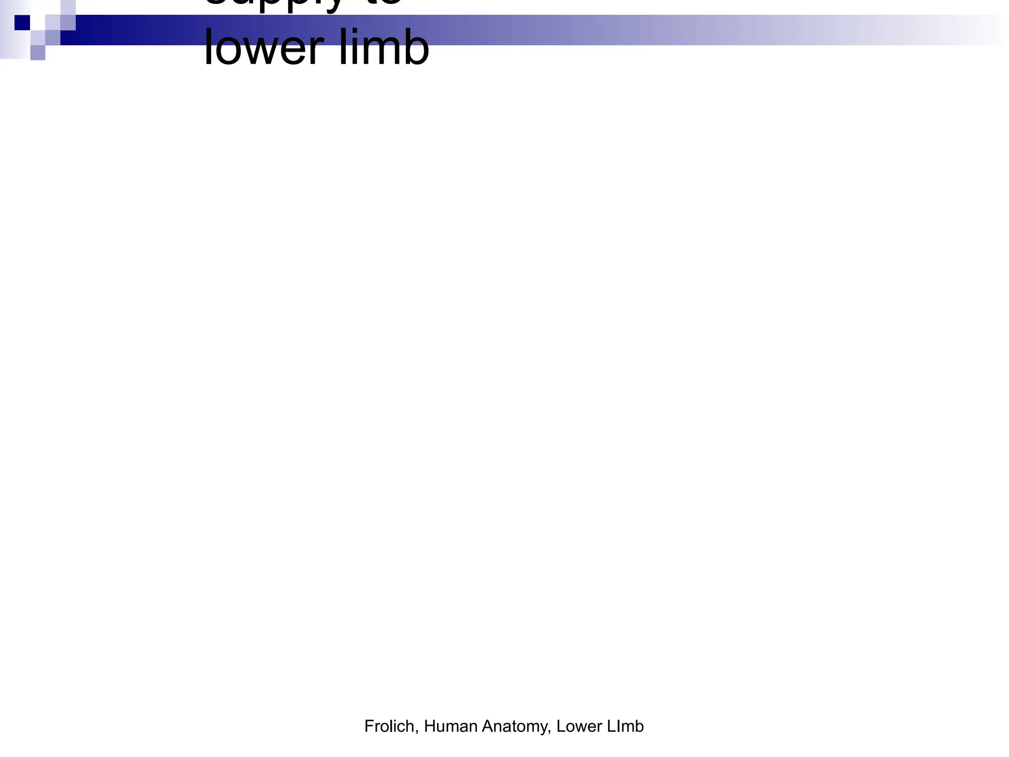 Frolich, Human Anatomy, Lower LImb
supply to
lower limb
 