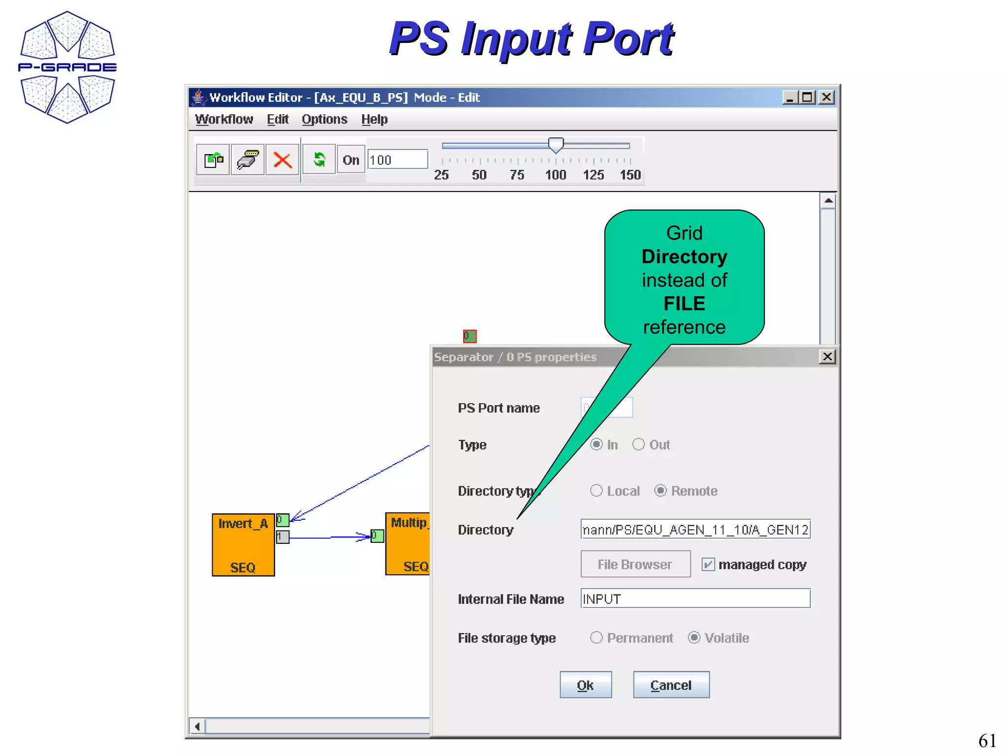 PS Input Port



              Grid
           Directory
           instead of
              FILE
           reference




                        61
 
