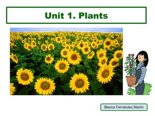 Unit 1. Plants
Blanca Fernández Martín
 