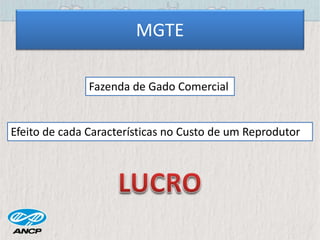 MGTE
Fazenda de Gado Comercial
Efeito de cada Características no Custo de um Reprodutor
 