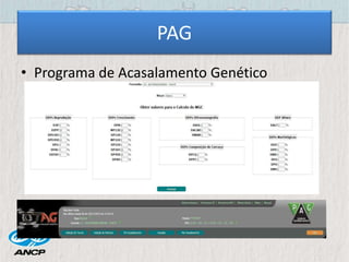 PAG
• Programa de Acasalamento Genético
 