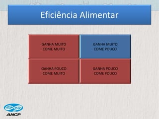Eficiência Alimentar
GANHA MUITO
COME MUITO
GANHA MUITO
COME POUCO
GANHA POUCO
COME MUITO
GANHA POUCO
COME POUCO
GANHA MUITO
COME MUITO
GANHA MUITO
COME POUCO
GANHA POUCO
COME MUITO
GANHA POUCO
COME POUCO
 