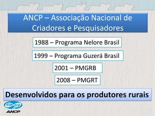 ANCP – Associação Nacional de
Criadores e Pesquisadores
1988 – Programa Nelore Brasil
Desenvolvidos para os produtores rurais
1999 – Programa Guzerá Brasil
2001 – PMGRB
2008 – PMGRT
 