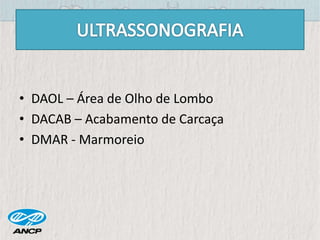 • DAOL – Área de Olho de Lombo
• DACAB – Acabamento de Carcaça
• DMAR - Marmoreio
 