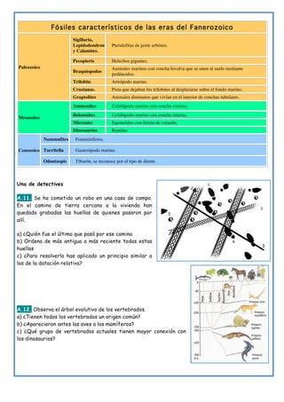 Fósiles característicos de las eras del Fanerozoico
Paleozoico
Sigillaria,
Lepidodendron
y Calamites.
Pteridofitas de porte arbóreo.
Pecopteris Helechos gigantes.
Braquiopodos
Animales marinos con concha bivalva que se unen al suelo mediante
pedúnculos.
Trilobite Artrópodo marino.
Cruzianas. Pista que dejaban los trilobites al desplazarse sobre el fondo marino.
Graptolites Animales diminutos que vivían en el interior de conchas tubulares.
Mesozoico
Ammonites Cefalópodo marino con concha externa.
Belemnites Cefalópodo marino con concha interna.
Micraster Equinoideo con forma de corazón.
Dinosaurios Reptiles
Cenozoico
Nummulites Foraminíferos.
Turritella Gasterópodo marino.
Odontaspis Tiburón, se reconoce por el tipo de diente.
Una de detectives
A.11. Se ha cometido un robo en una casa de campo.
En el camino de tierra cercano a la vivienda han
quedado grabadas las huellas de quienes pasaron por
allí.
a) ¿Quién fue el último que pasó por ese camino
b) Ordena de más antigua a más reciente todas estas
huellas
c) ¿Para resolverlo has aplicado un principio similar a
los de la datación relativa?
A.12. Observa el árbol evolutivo de los vertebrados.
a) ¿Tienen todos los vertebrados un origen común?
b) ¿Aparecieron antes las aves a los mamíferos?
c) ¿Qué grupo de vertebrados actuales tienen mayor conexión con
los dinosaurios?
 