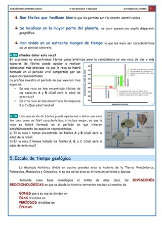 IES	
  BAÑADEROS	
  CIPRIANO	
  ACOSTA	
  	
  	
  	
  	
  	
  	
  	
  	
  	
  	
  	
  	
  	
  	
  	
  	
  	
  	
  	
  	
  	
  	
  	
  	
  	
  	
  	
  	
  	
  	
  	
  	
  	
  	
  	
  	
  	
  	
  	
  	
  	
  	
  	
  	
  	
  	
  	
  	
  	
  	
  	
  	
  	
  	
  	
  4º	
  ESO	
  BIOLOGÍA	
  	
  Y	
  GEOLOGÍA	
  	
  	
  	
  	
  	
  	
  	
  	
  	
  	
  	
  	
  	
  	
  	
  	
  	
  	
  	
  	
  	
  	
  	
  	
  	
  	
  	
  	
  	
  	
  	
  	
  	
  	
  	
  	
  	
  	
  	
  	
  	
  	
  	
  	
  	
  	
  	
  	
  	
  	
  	
  	
  	
  EL	
  PASADO	
  DE	
  LA	
  TIERRA 7
Son fósiles que fosilizan bien lo que les permite ser fácilmente identificables.
Se localizan en la mayor parte del planeta, es decir poseen una amplia dispersión
geográfica.
Han vivido en un estrecho margen de tiempo lo que les hace ser característicos
de un periodo concreto.
A.09. ¿Puedes datar esta roca?
En ocasiones no encontramos fósiles característicos pero la coincidencia en una roca de dos o más
especies de fósiles puede ayudar a realizar
dataciones más precisas, ya que la roca se habrá
formado en el período vital compartido por las
especies representadas.
La gráfica muestra el período en que vivieron tres
especies.
• En una roca se han encontrado fósiles de
las especies A y B ¿Cuál será la edad de
esta roca?
• En otra roca se han encontrado las especies
B y C ¿Qué edad tendrá?
A.10. Una asociación de fósiles puede ayudarnos a datar una roca
tan bien como un fósil característico, o incluso mejor, ya que la
roca se habrá formado en el período en que vivieron
simultáneamente las especies representadas.
a) En la roca 1 hemos encontrado los fósiles A y B ¿Cuál será la
edad de la roca?.
b) En la roca 2 hemos hallado los fósiles A, B, y C. ¿Cuál será la
edad de esta roca?
5.Escala de tiempo geológica
La Geología histórica divide en cuatro grandes eras la historia de la Tierra: Precámbrica,
Paleozoica, Mesozoica y Cenozoica. A su vez estas eras se dividen en periodos y épocas.
Tomando como base cronológica el millón de años (ma), las DIVISIONES
GEOCRONOLÓGICAS en que se divide la historia terrestre reciben el nombre de
EONES que a su vez se dividen en
ERAS divididas en
PERÍODOS divididos en
ÉPOCAS
 