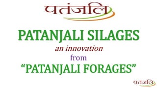 PATANJALI SILAGES
an innovation
from
“PATANJALI FORAGES”
 