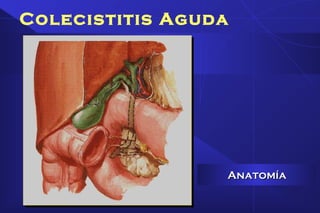 Colecistitis Aguda
AnatomíaAnatomía
 