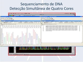 Sequenciamento de DNADetecçãoSimultânea de Quatro Cores 