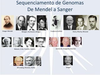 Sequenciamento de GenomasDe Mendel a SangerGregor MendelFrederick GriffithAvery, Mcarty, McLeodMorgan, Sturtevant, BridgesZamenick, Hoagland, BrennerWatson, Crick, Franklin, WilkinsSangerNirenberg, Khorana, Holley 