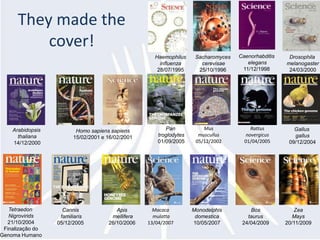 Theymadethe cover!Caenorhabditiselegans11/12/1998Sacharomycescerevisae25/10/1996Drosophilamelanogaster24/03/2000Haemophilusinfluenza28/07/1995Pan troglodytes01/09/2005Mus muscullus05/12/2002Rattusnovergicus01/04/2005Gallusgallus09/12/2004Arabidopsisthaliana14/12/2000Homo sapiens sapiens15/02/2001 e 16/02/2001TetraedonNigrovirids21/10/2004Finalização doGenoma HumanoCannisfamiliaris05/12/2005Apismellifera26/10/2006Monodelphisdomestica10/05/2007Macacamulatta13/04/2007ZeaMays20/11/2009Bostaurus24/04/2009