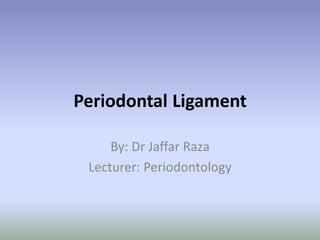 Periodontal Ligament
By: Dr Jaffar Raza
Lecturer: Periodontology
 
